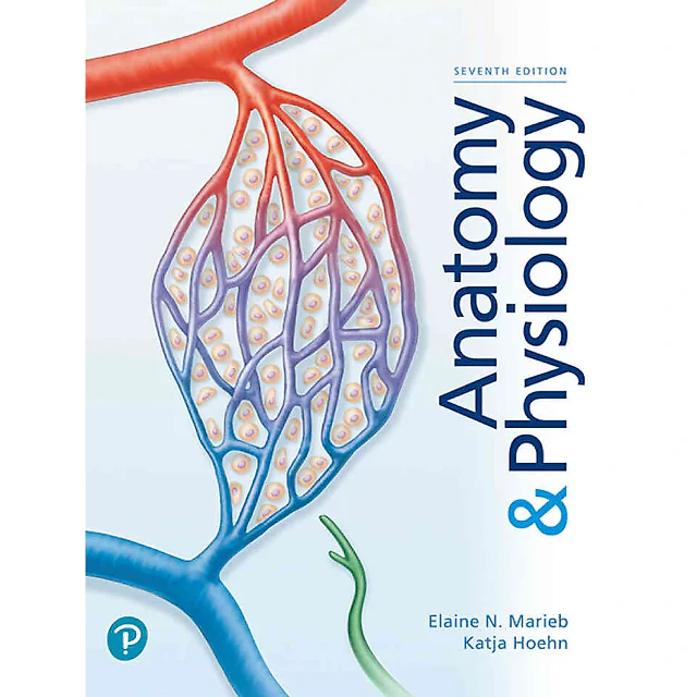 Anatomy & Physiology, 7th Edition
