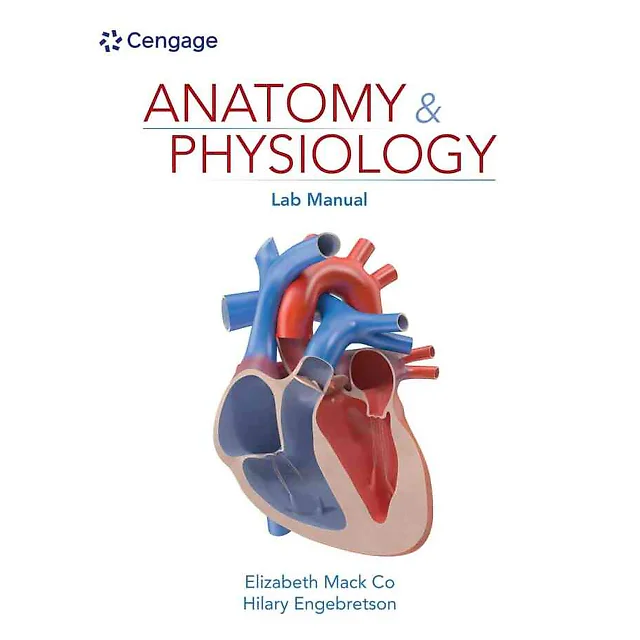 Anatomy & Physiology Lab Manual 1st Edition