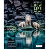 Biology: How Life Works, 4th Edition