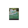 Counseling Individuals Through the Lifespan (Counseling and Professional Identity)