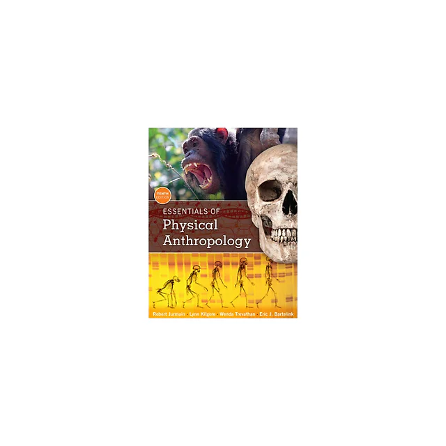 Essentials of Physical Anthropology, 10th Edition