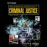 Ethical Dilemmas and Decisions in Criminal Justice 11th Edition