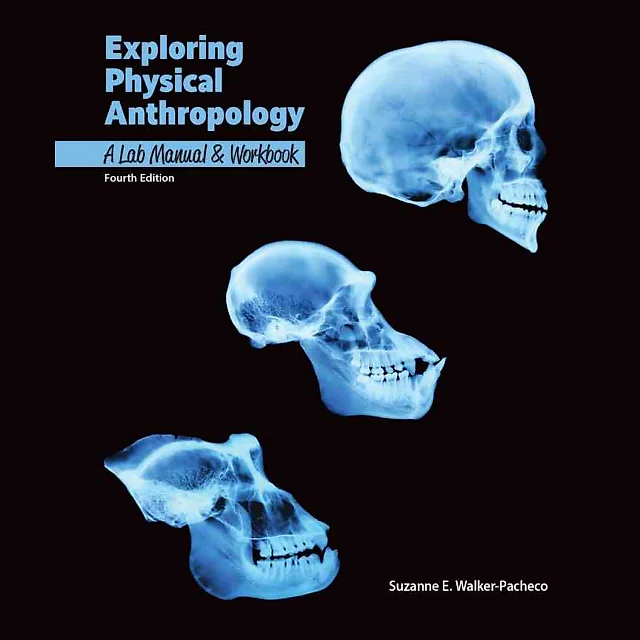 Exploring Physical Anthropology: Lab Manual and Workbook 4th Edition