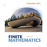 Finite Mathematics Hybrid 8th Edition