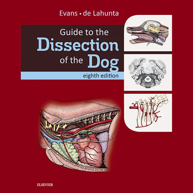Guide to the Dissection of the Dog 8th Edition