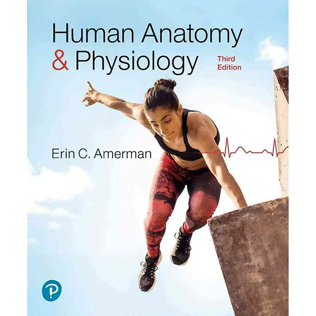 Human Anatomy & Physiology, 3rd Edition