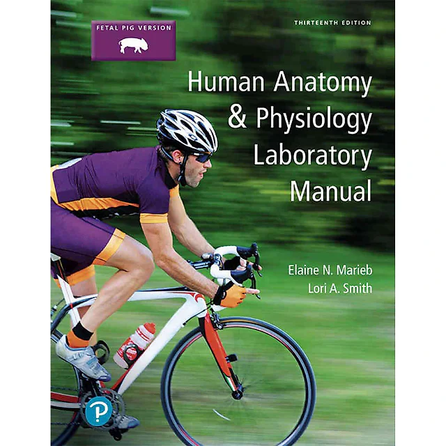 Human Anatomy & Physiology Laboratory Manual, Fetal Pig Version, 13th Edition