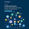 Intellectual Property: The Law of Trademarks Copyrights Patents and Trade Secrets 6th Edition