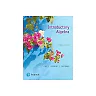 Introductory Algebra (11th Edition)