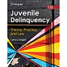 Juvenile Delinquency: Theory, Practice, and Law, 14th Edition