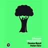 Lifespan Development, 8th Edition