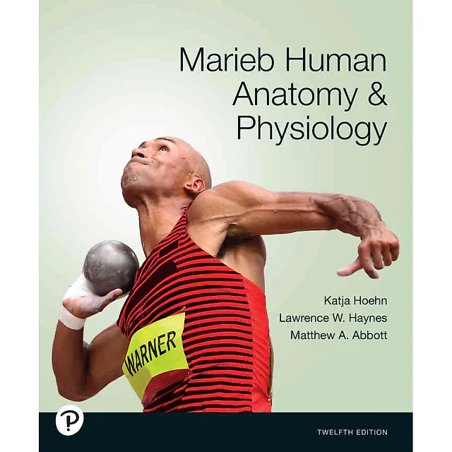 Marieb Marieb Human Anatomy & Physiology, 12th Edition