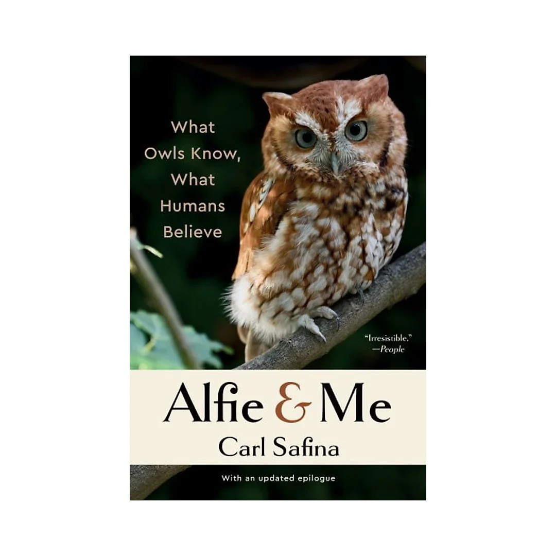 Pre-Owned Alfie & Me: What Owls Know, What Humans Believe (Paperback) 1324086483 9781324086482
