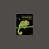 Real World Psychology, 3rd Edition