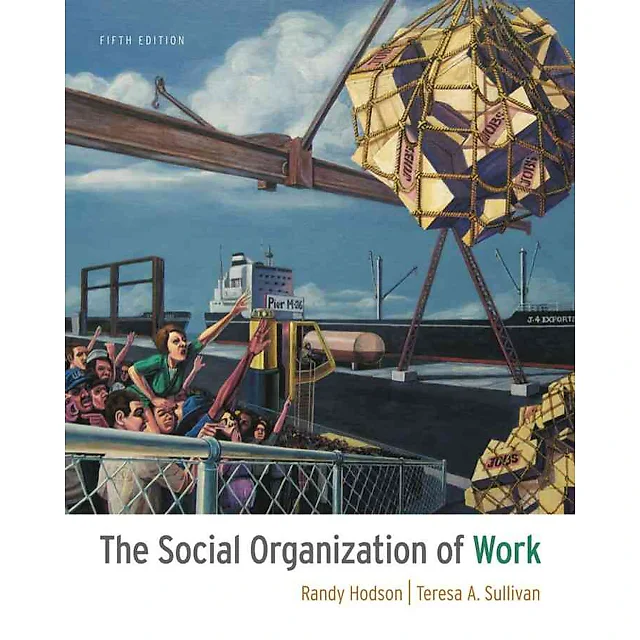 The Social Organization of Work 5th Edition