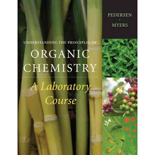 Understanding the Principles of Organic Chemistry: A Laboratory Course 1st Edition