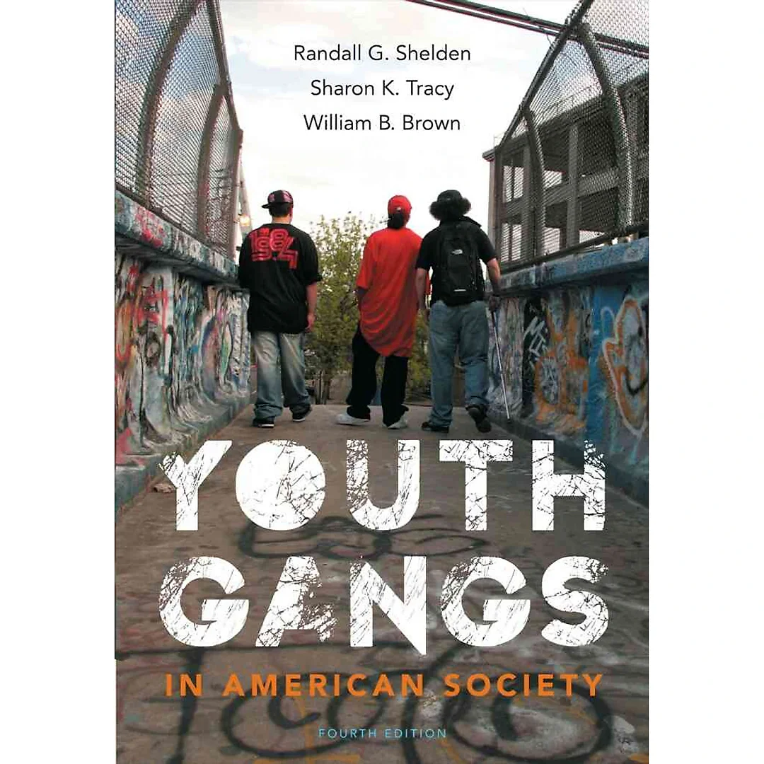 Youth Gangs in American Society 4th Edition