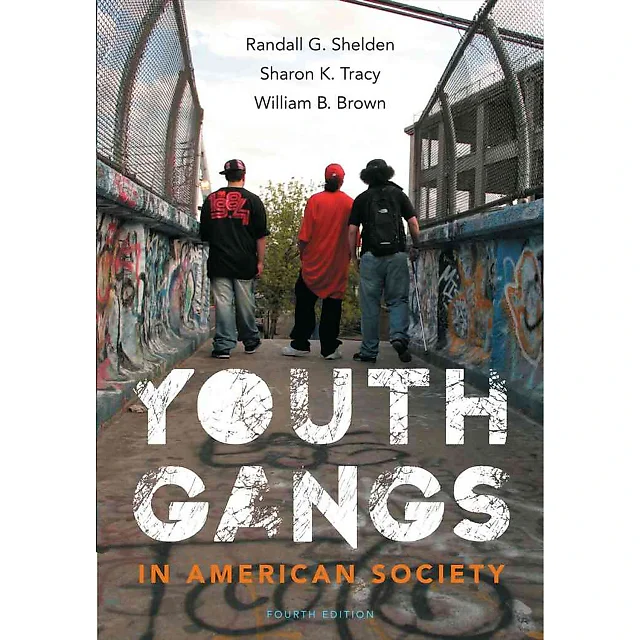 Youth Gangs in American Society 4th Edition