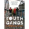 Youth Gangs in American Society 4th Edition