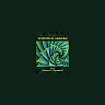 Basic Statistical Analysis 9th Edition by Richard C. Sprinthall