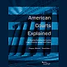 Mitchell and Klein's American Courts Explained: A Detailed Introduction to the Legal Process Using Real Cases