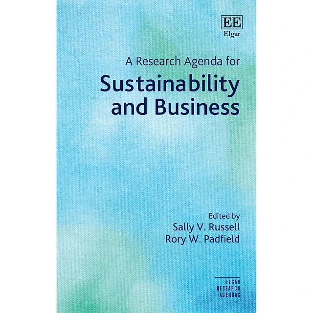 A Research Agenda for Sustainability and Business