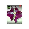 Adobe Dreamweaver CC Classroom in a Book (2018 release)
