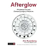 Afterglow: Ministerial Fire and Chinese Ecological Medicine