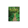 Algebra: Form and Function