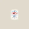 America Votes!: Challenges to Modern Election Law and Voting Rights