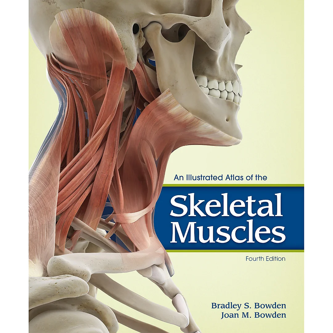 An Illustrated Atlas of the Skeletal Muscles