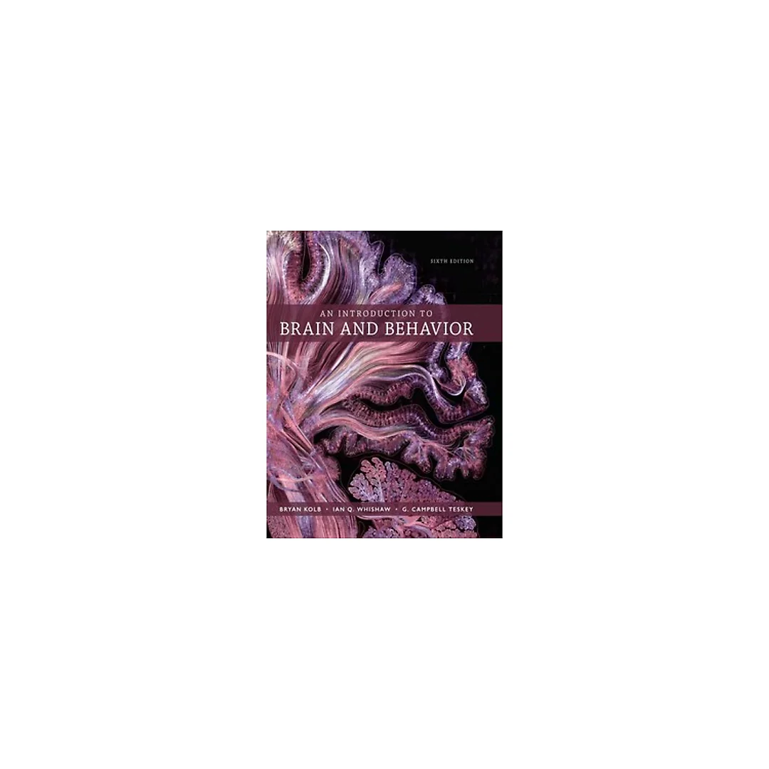 An Introduction to Brain and Behavior 6th Edition by Bryan Kolb
