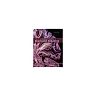 An Introduction to Brain and Behavior 6th Edition by Bryan Kolb