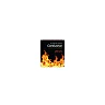 an Introduction to Combustion: Concepts and Applications