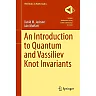 An Introduction to Quantum and Vassiliev Knot Invariants