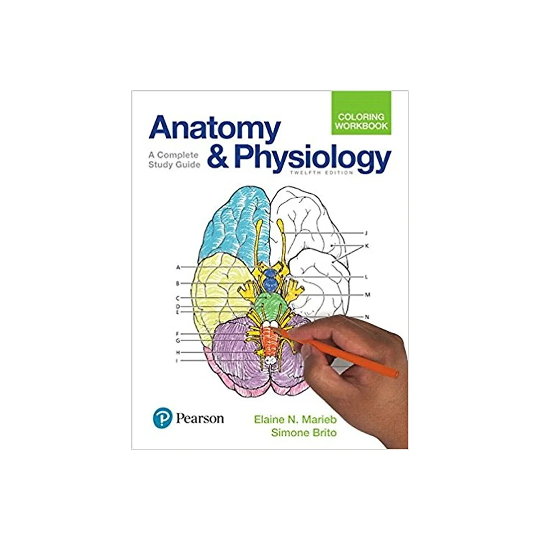 Anatomy and Physiology Coloring Workbook 12th Edition