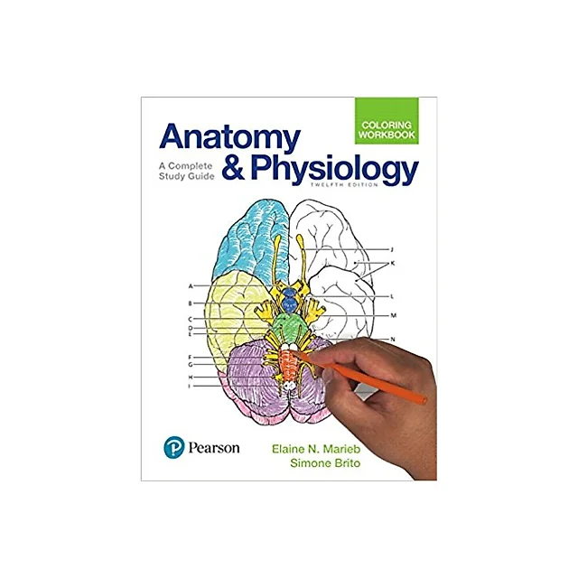 Anatomy and Physiology Coloring Workbook 12th Edition