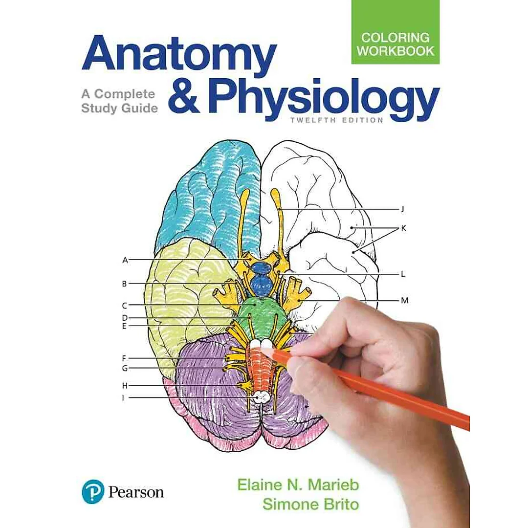 Anatomy and Physiology Coloring Workbook: A Complete Study Guide, 12th Edition