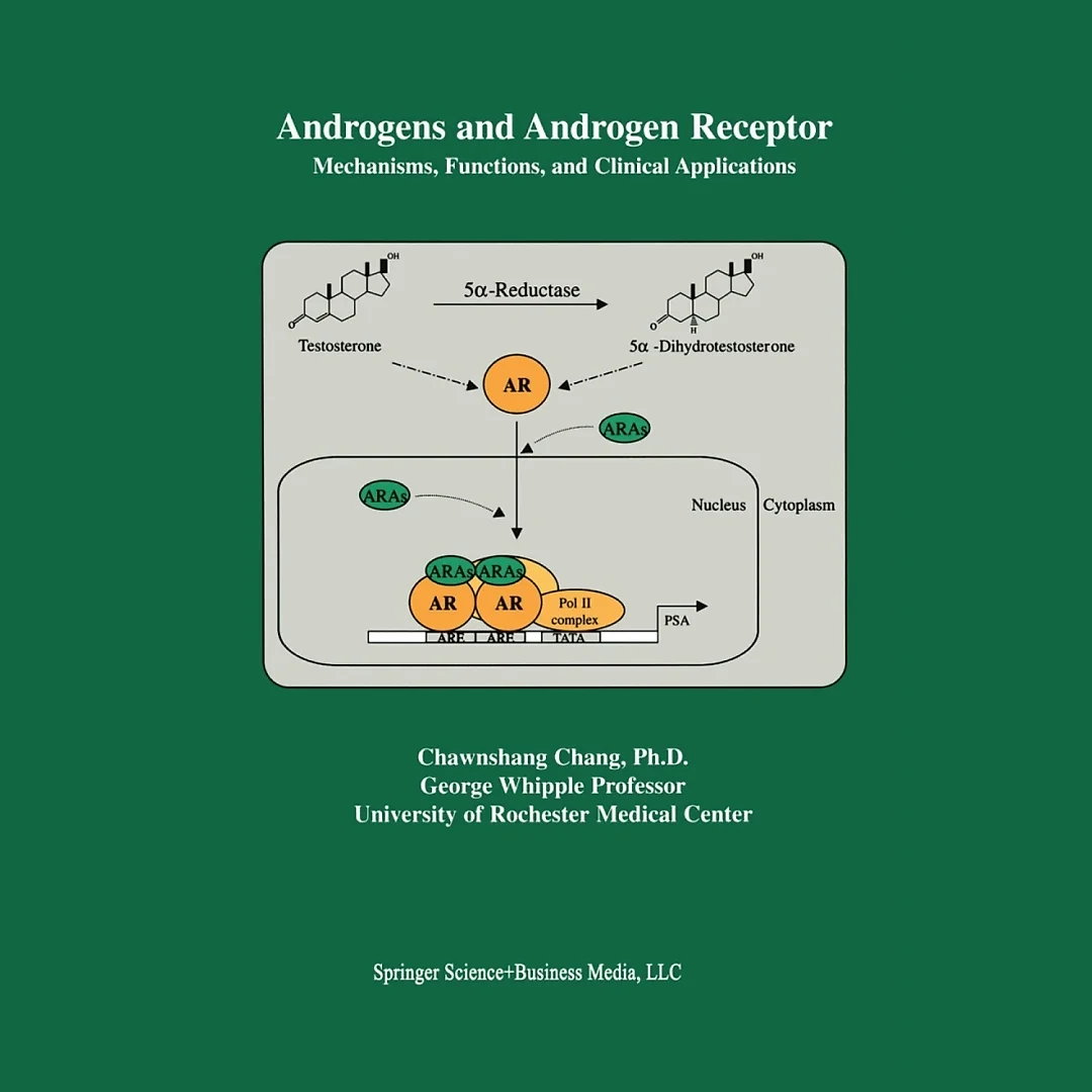 Androgens and Androgen Receptor: Mechanisms Functions and Clini Applications