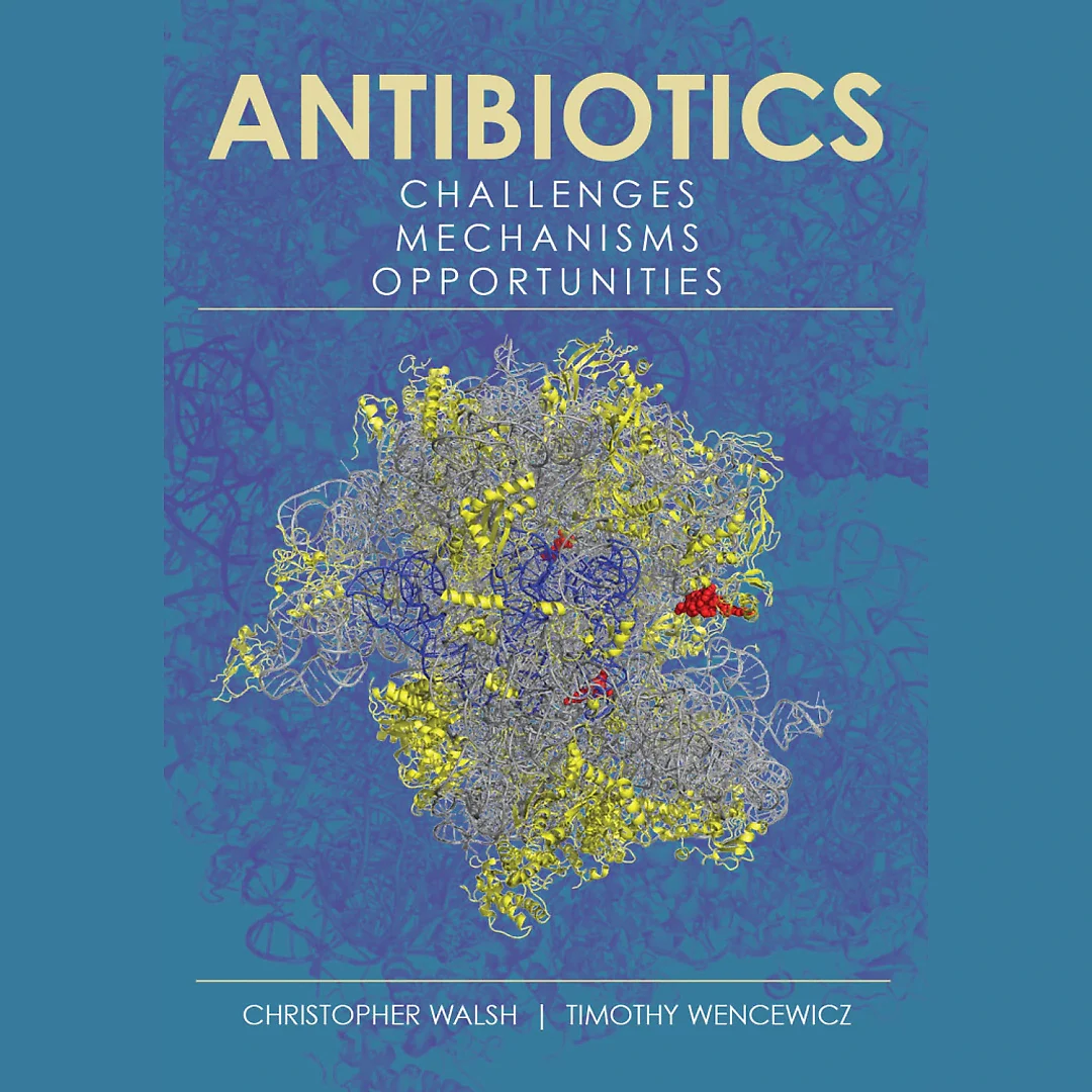 Antibiotics: Challenges, Mechanisms, Opportunities