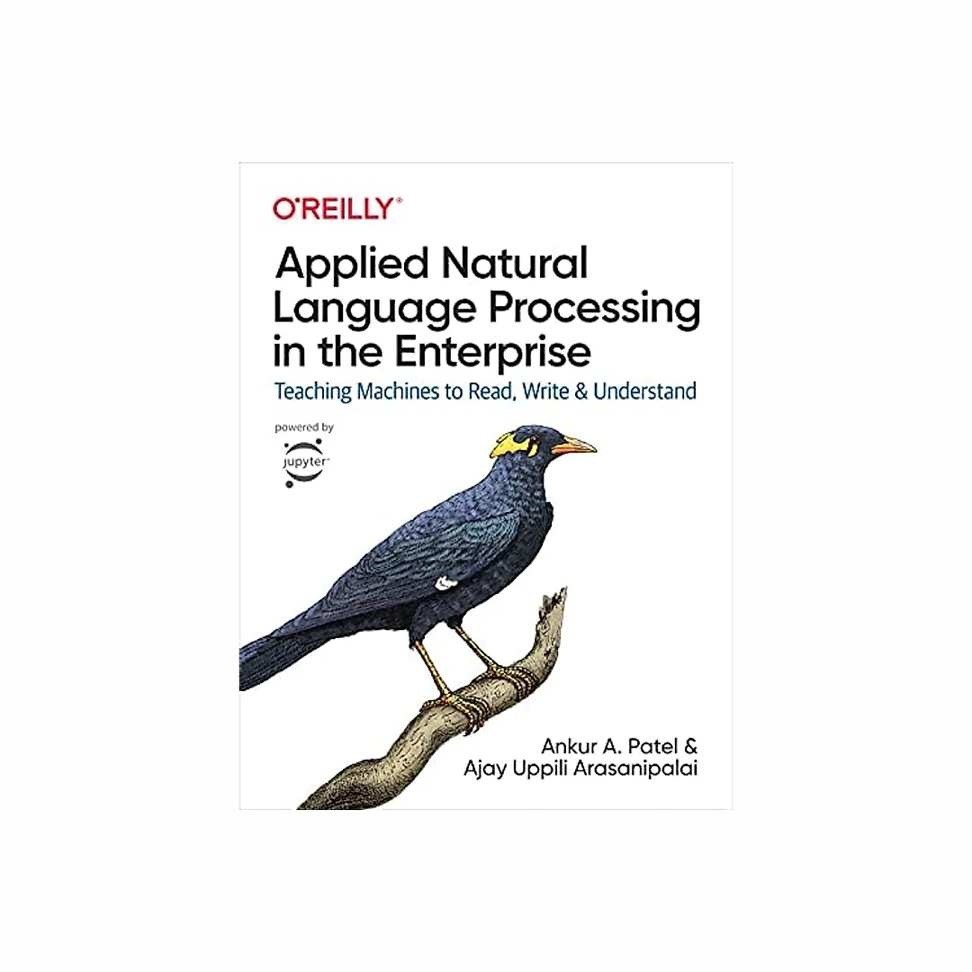 Applied Natural Language Processing in the Enterprise