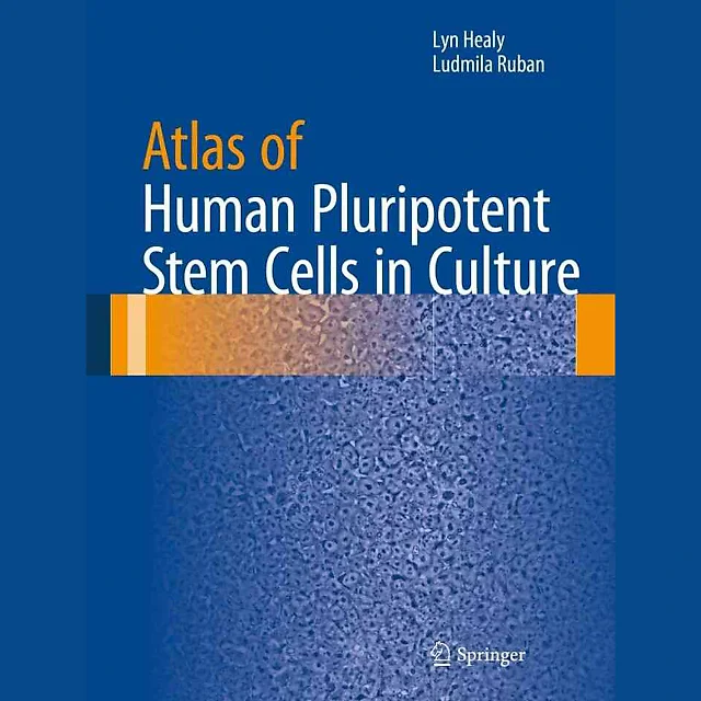 Atlas of Human Pluripotent Stem Cells in Culture