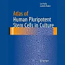 Atlas of Human Pluripotent Stem Cells in Culture