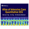Atlas of Intensive Care Quantitative EEG