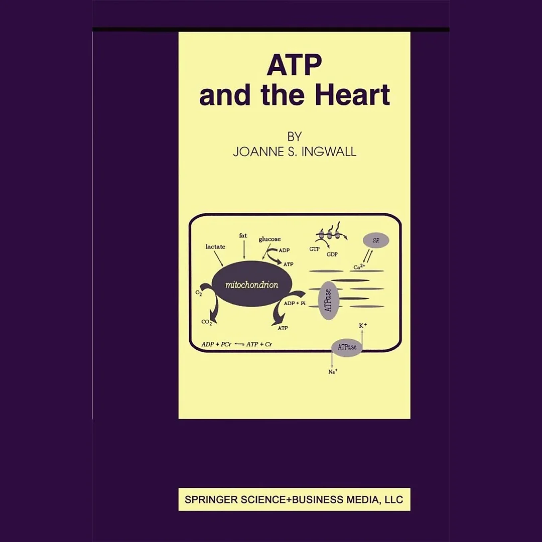 ATP and the Heart
