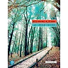 Beginning Algebra, 13th Edition