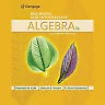 Beginning and Intermediate Algebra 7th Edition