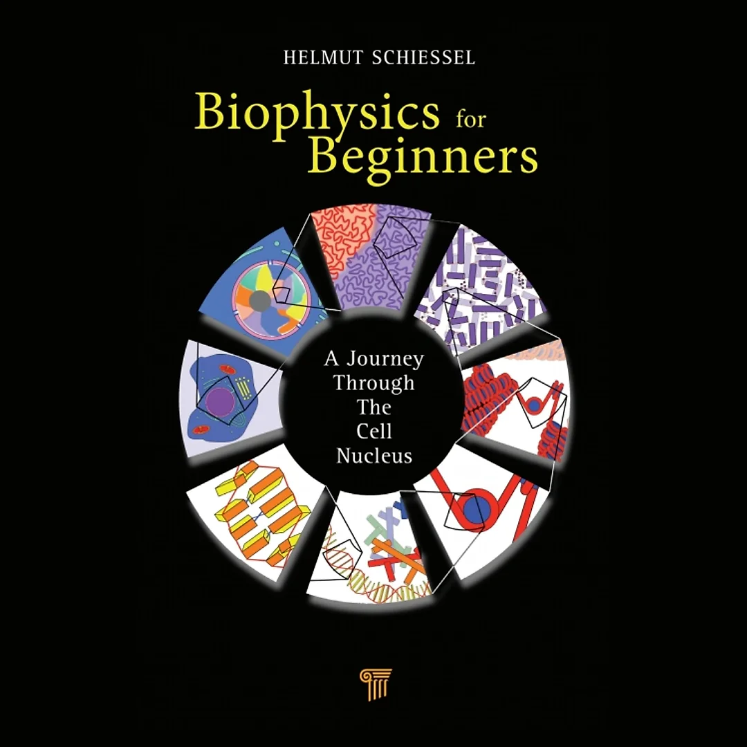 Biophysics for Beginners: A Journey through the Cell Nucleus