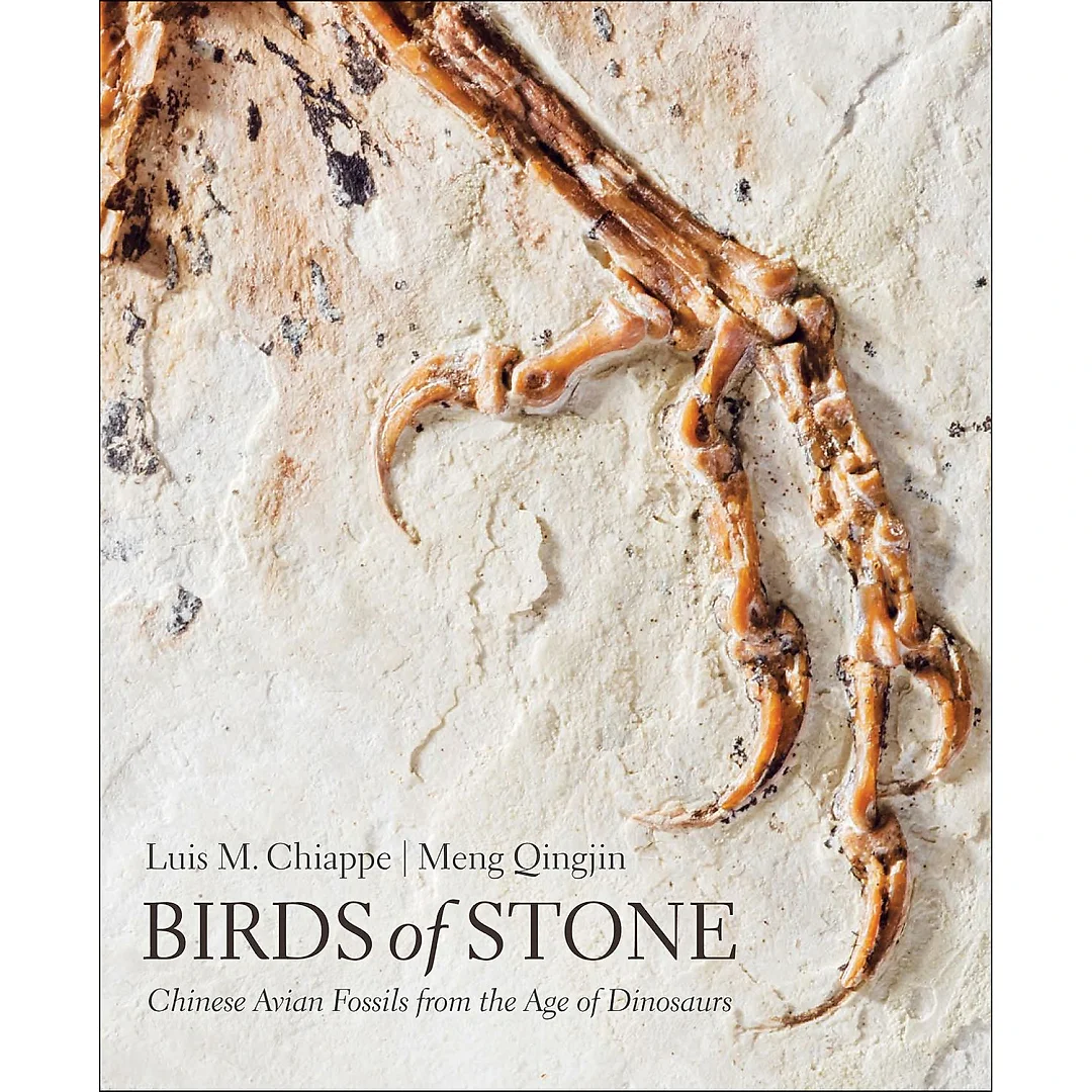 Birds of Stone: Chinese Avian Fossils from the Age of Dinosaurs