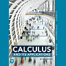 Calculus and Its Applications, 2nd Edition